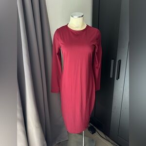 Zara Burgundy Long Sleeve Dress